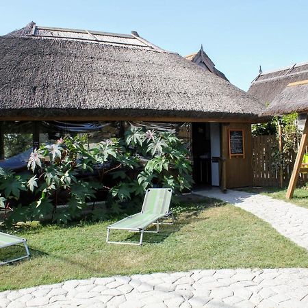 Cerdacul Cu Stuf Hotel Sfântu Gheorghe Buitenkant foto